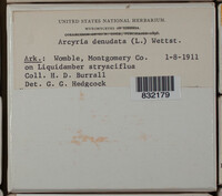 Image Associated With the Occurence